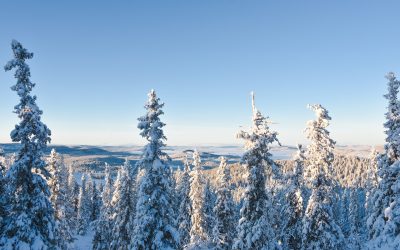 Förbered ditt hem inför vintern (så här gör du)