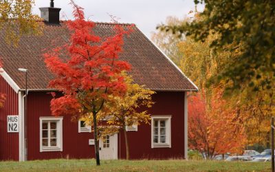 När är det dags att renovera taket?