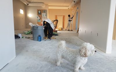 Så tapetserar du över gammal tapet